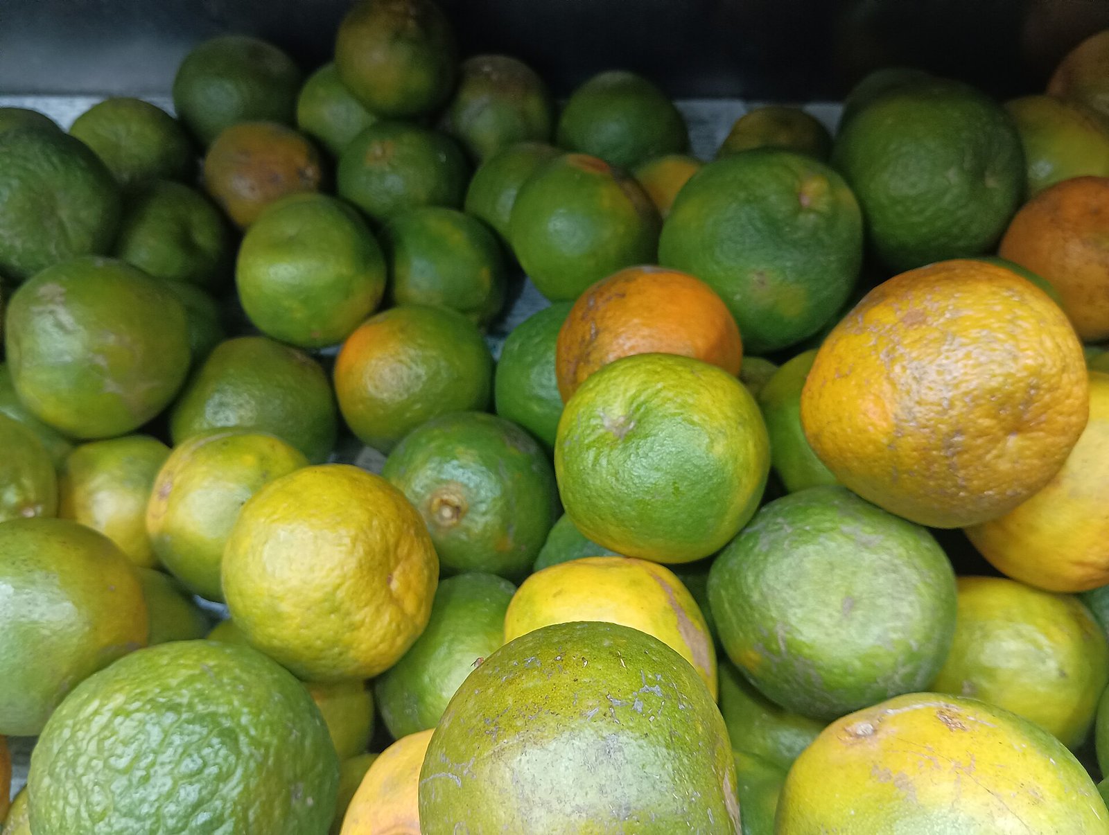 A crate of green-skinned Nagpur santras
